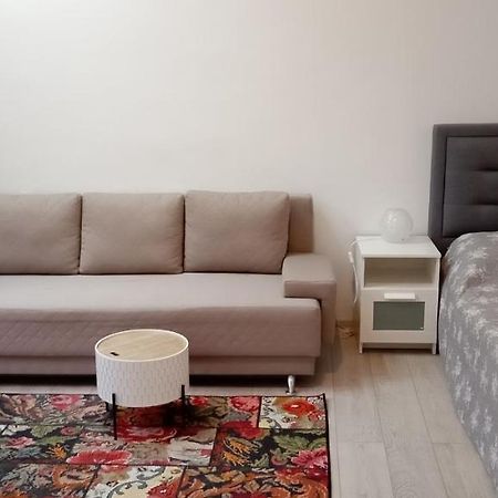 Piata Muzeului 1 Apartment Cluj-Napoca Exterior foto