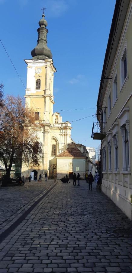 Piata Muzeului 1 Apartment Cluj-Napoca Exterior foto